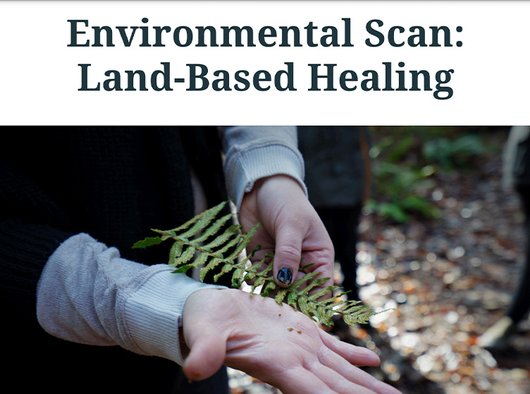 Environmental Scan: Land-based Healing